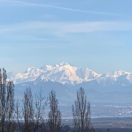 Chalet Du Montblanc 4 Pers Max 겍스 외부 사진